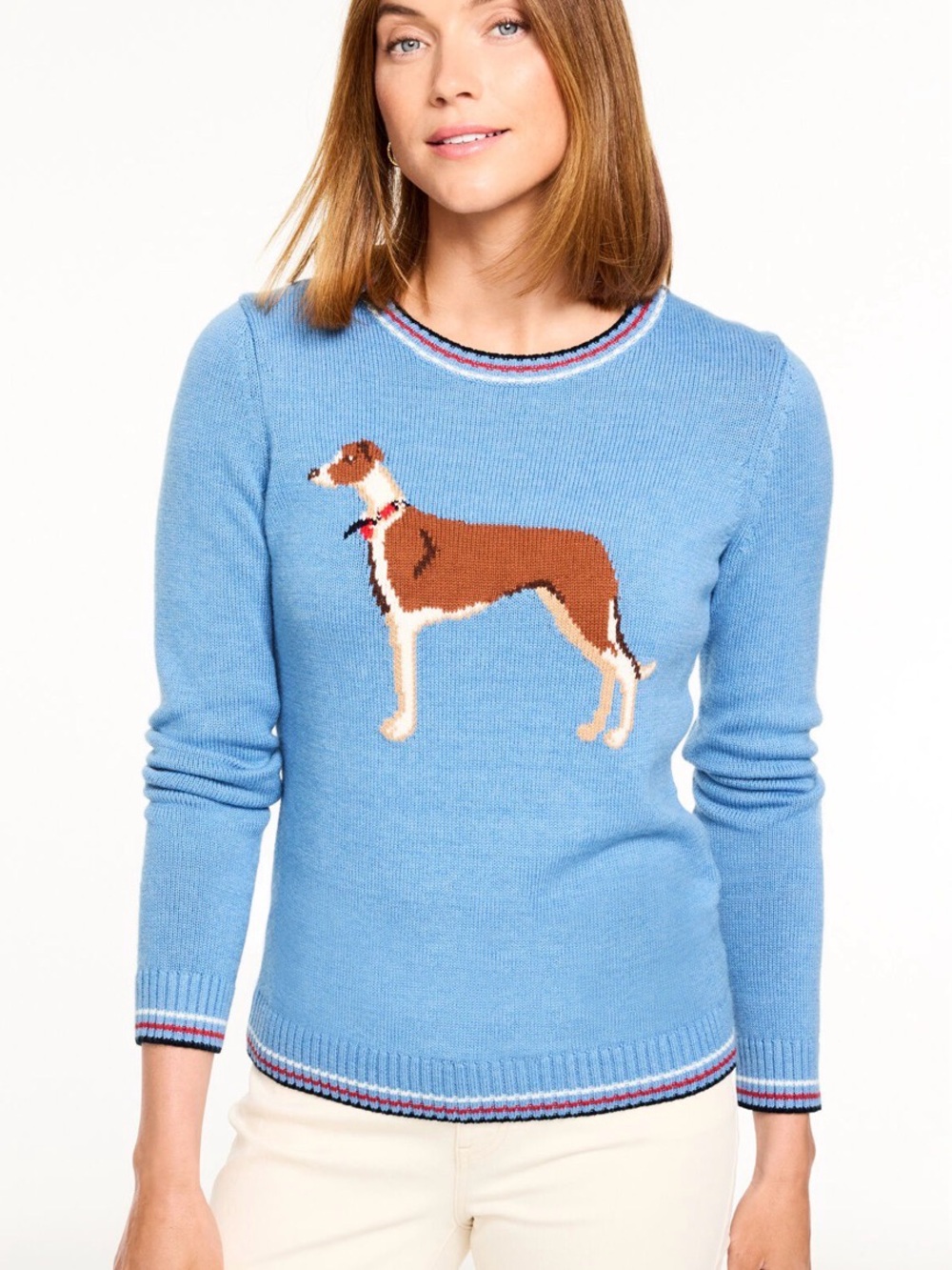 Talbots Crewneck Sweater whimsical Dog size Medium petite
